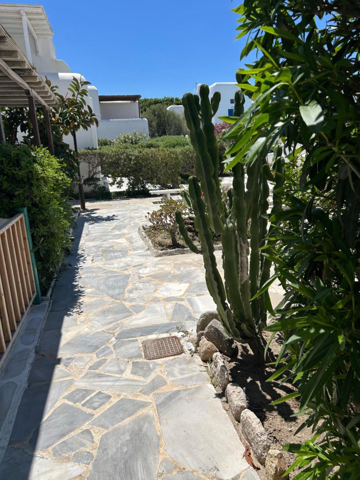 Luxury House With Swimming Pool In Ornos Mykonos Villa Buitenkant foto